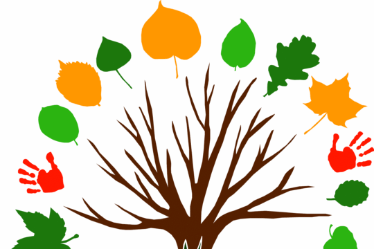 Logo-neu_farbig.gif