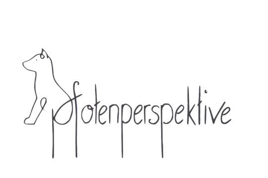 PP ohne Hintergrund-2.png