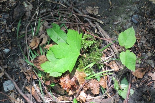 IMG_0867 (2020_10_26 19_19_07 UTC).jpg