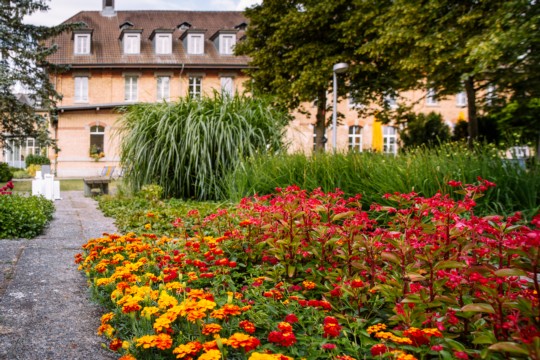 190715_PZM Aussen Sommer_Web-19