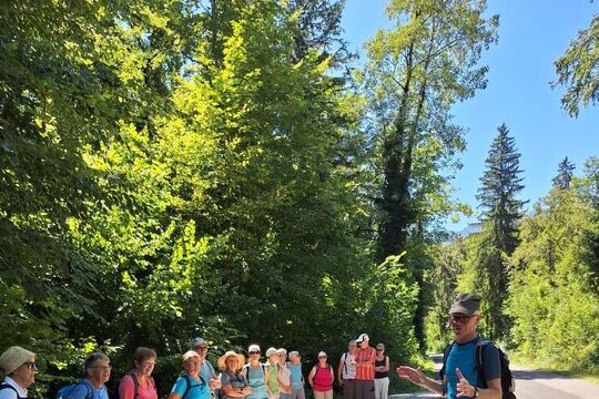 Bild Eine Reise dem Gl&uuml;tschbach entlang