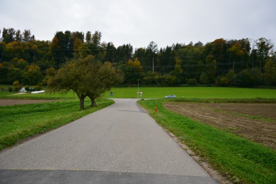 BEO_0739