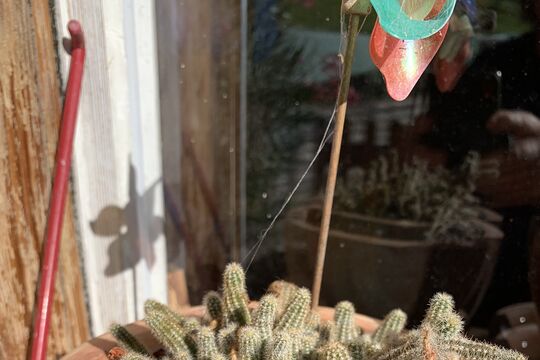 IMG_1081.jpeg