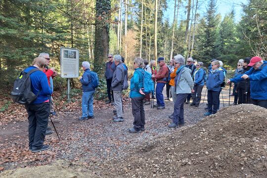 Bild Einmal quer durch 20'000 verschiedene Pflanzen und Tieren