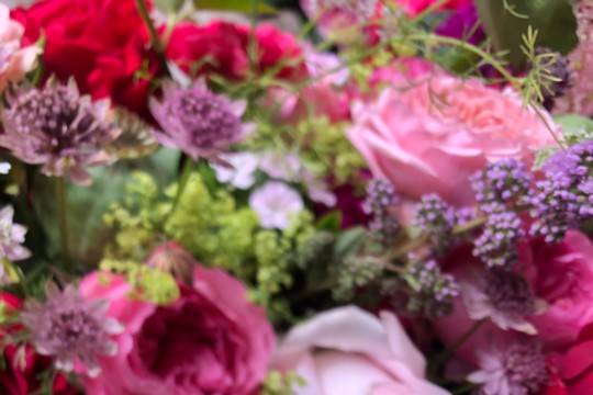 IMG_8452.jpeg