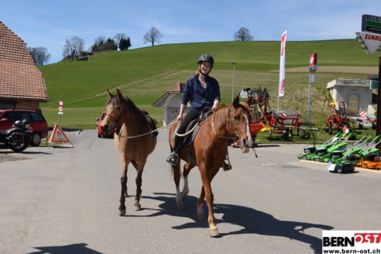 32e006098cc5d10120127059fede2c84.jpg