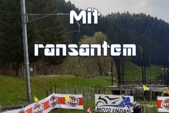 Buggyrennen.jpg