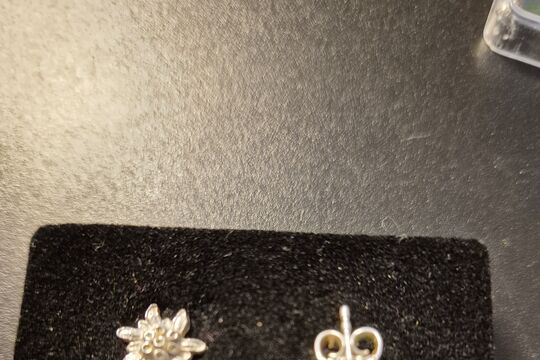 Edelweiss Ohrstecker_1.jpg