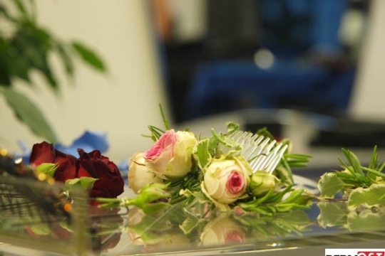 3488c0ed3fc3bb77dc62243a6bc420d3.jpg