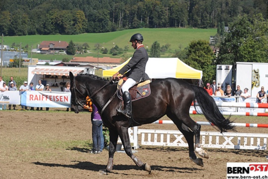 34a530cc15abac72e578bc85371d2330.jpg