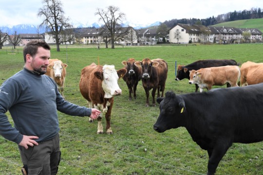 Biohof Glauser Kuh