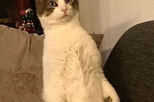 WhatsApp Bild 2025-05-05 um 08.11.51_7bdc7019