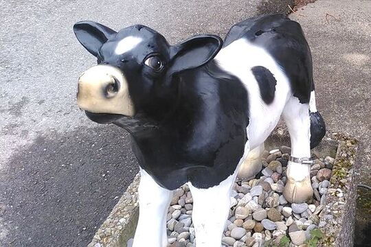 Bild Deko-Kalb vor Dorfladen gestohlen