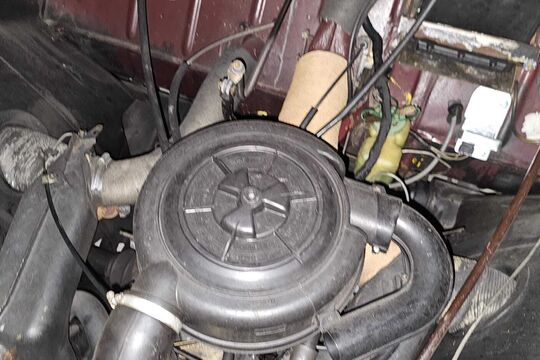IMG-20250427-WA0011.jpg