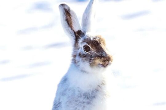 WhatsApp Bild 2025-04-15 um 11.19.28_d173791d