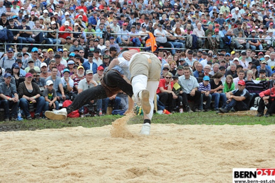 382fd2e2b351e53bb657ea0ff6194bd0.jpg