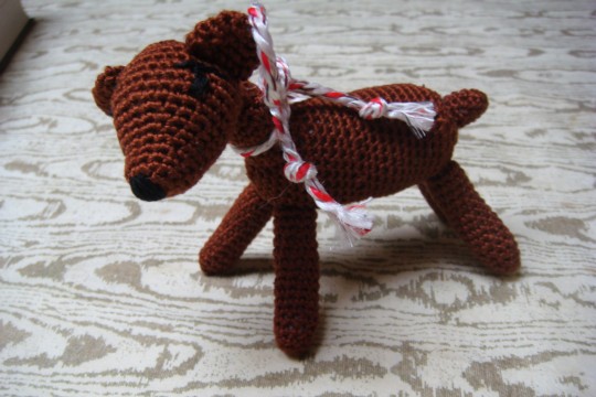 DSC06145 - Kopie.jpg