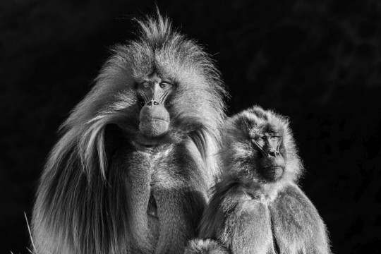Lorenz Fischer - Eyes of Africa.jpg
