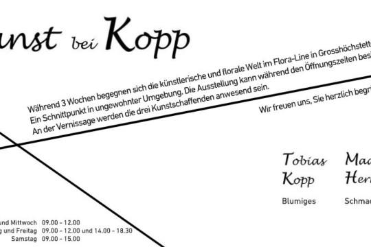 Kunst bei Kopp Rückseite.jpg