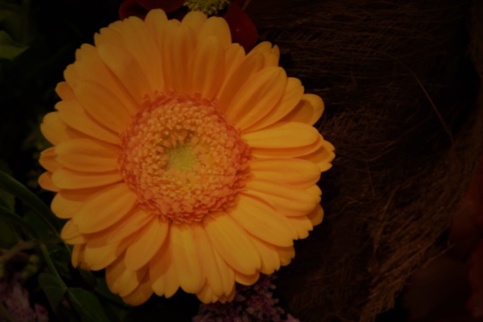 38d886ba72777dc869f78592135ffdb1.jpg