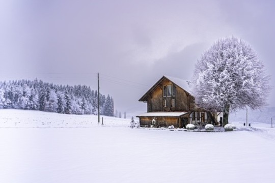 Winterliche Schnappschlüsse