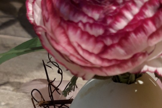20190309_091908