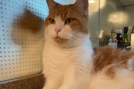 WhatsApp Bild 2025-05-05 um 08.12.01_d38fda02