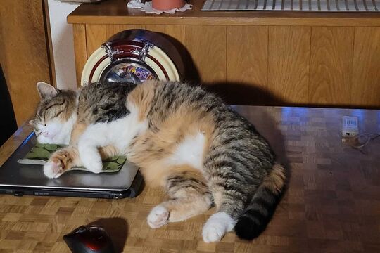 WhatsApp Bild 2025-05-05 um 08.12.08_e55dd1b3