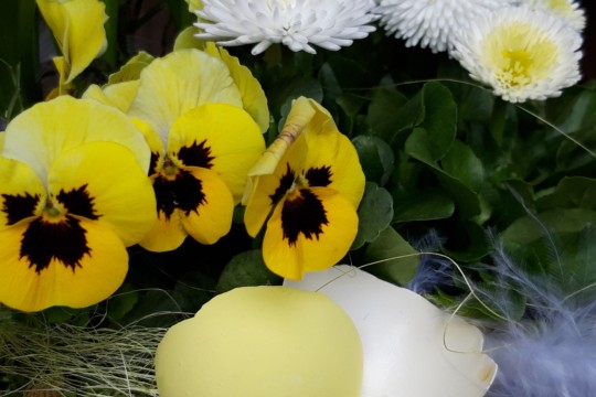 20190309_092411