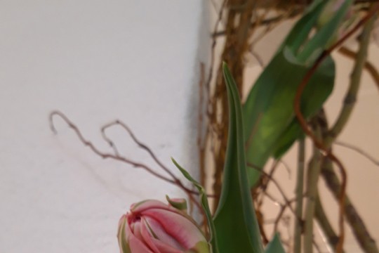 20190309_092554