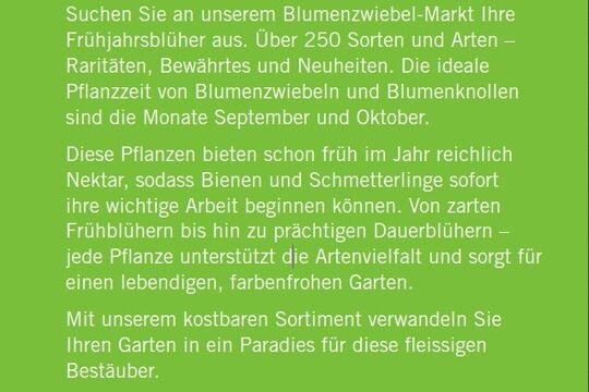 Flyer Rückseite.jpg