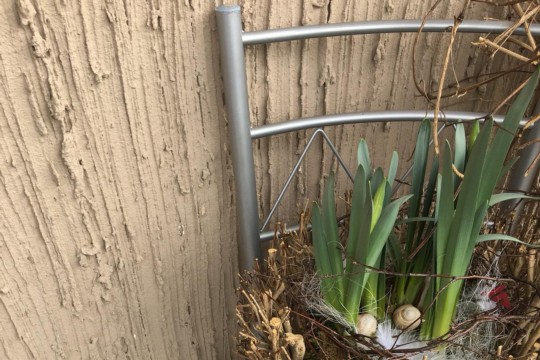 IMG-20190309-WA0005