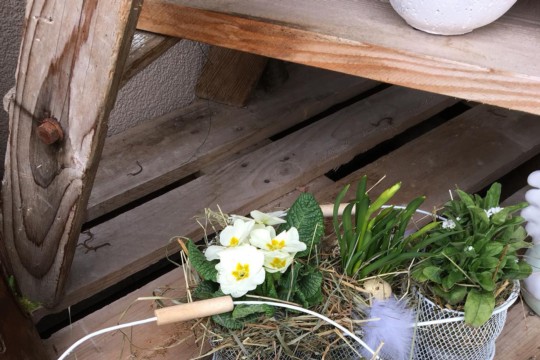 IMG-20190309-WA0009