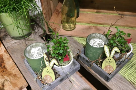 IMG-20190309-WA0018