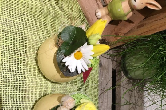 IMG-20190309-WA0019