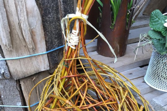 IMG-20190309-WA0026