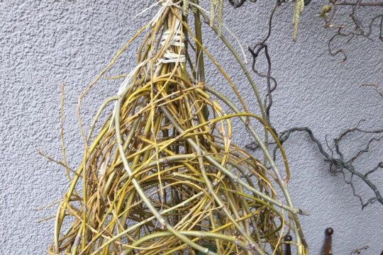 IMG-20190309-WA0027