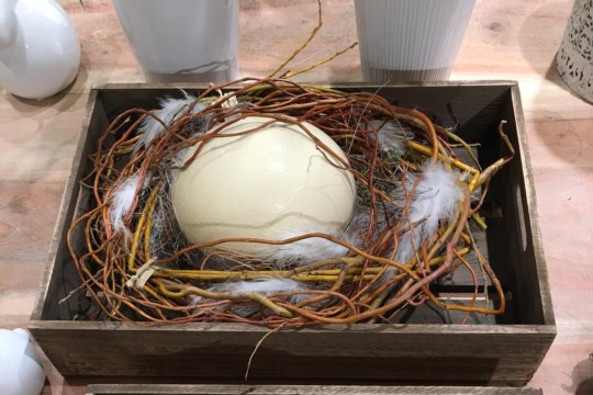 IMG-20190309-WA0035