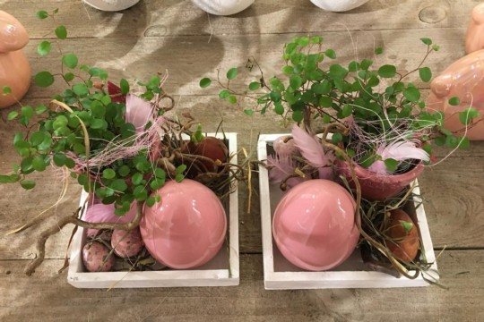 IMG-20190309-WA0036