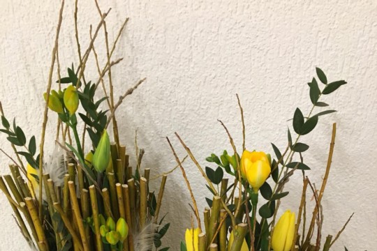 IMG-20190309-WA0048