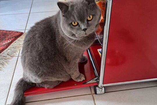 WhatsApp Bild 2025-05-05 um 08.12.58_dc5ba585