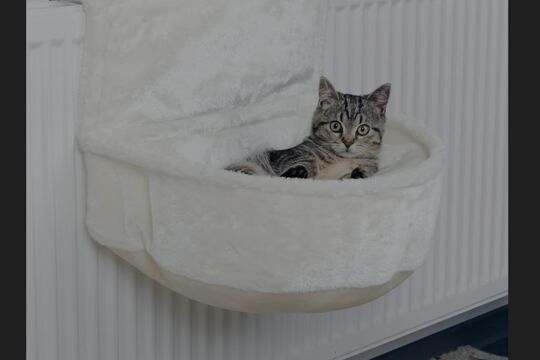 Screenshot_20260217_161245_Samsung Internet.jpg