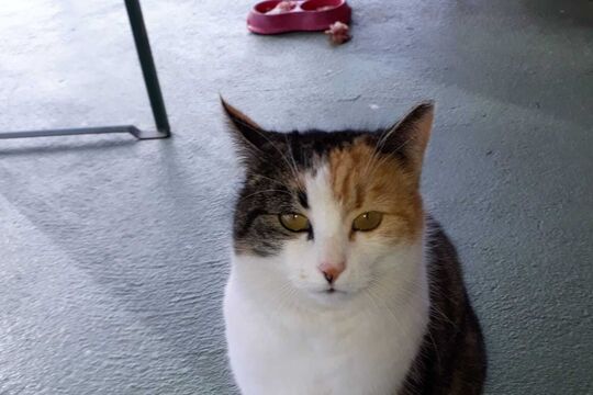 WhatsApp Bild 2025-05-05 um 08.13.14_e98cda75