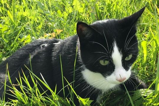 WhatsApp Bild 2025-05-05 um 09.44.03_39163da5