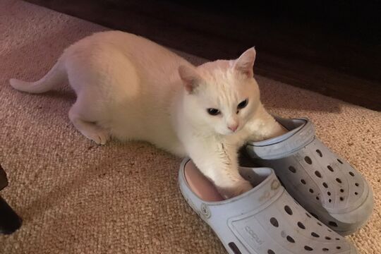 WhatsApp Bild 2025-05-05 um 09.44.04_1ac5d37c