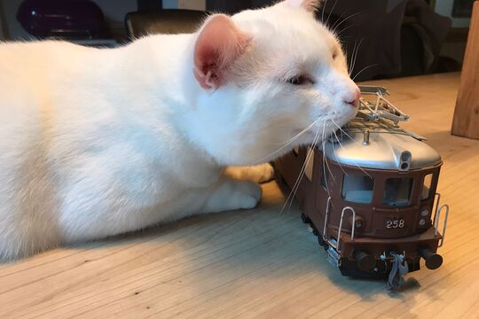 WhatsApp Bild 2025-05-05 um 09.44.04_1ae24fc4