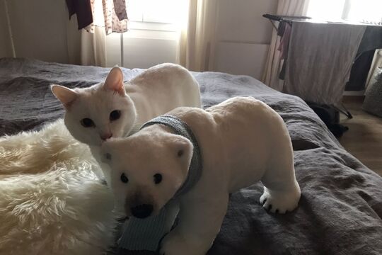 WhatsApp Bild 2025-05-05 um 09.44.04_df0bf145