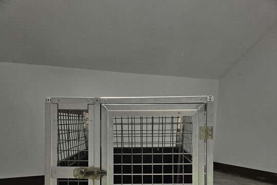 Hundebox1.jpg