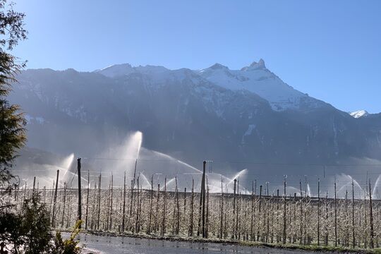 IMG-20260402-WA0000.jpg