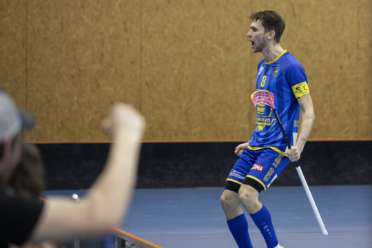 Bild Sie stehen im Playoff Halbfinal